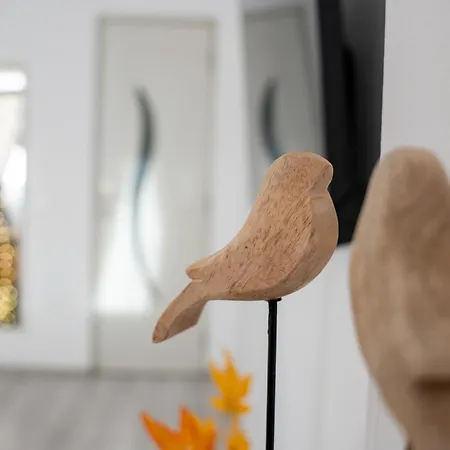 Downtown Moon 21 Cismigiu Park