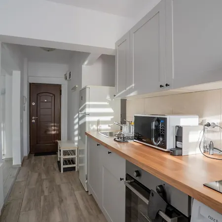 Downtown Moon 21 Cismigiu Park * Βουκουρέστι